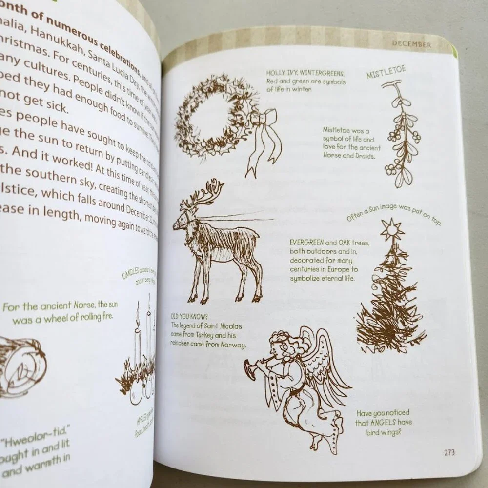 Nature Journal Atcitty Book Workbook Clare Walker Leslie The Nature Connection